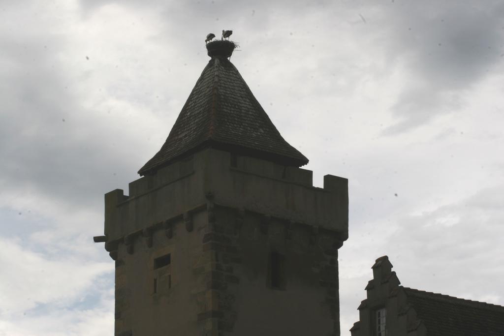 Duplex Du Vignoble Alsace *