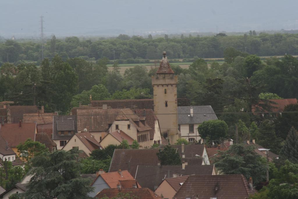 Holiday home Duplex Du Vignoble Alsace
